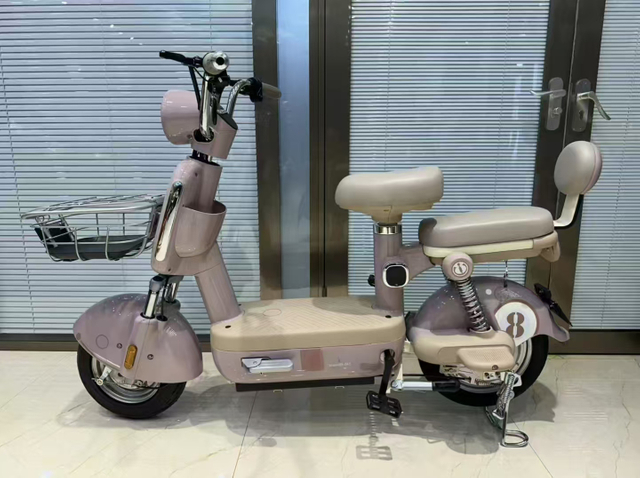 CHLEB004 oula-Elderly specific / passenger electric bike supplier